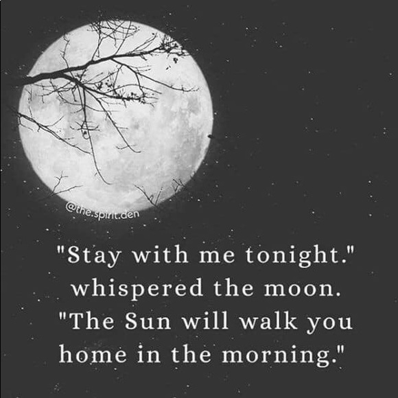 Meet your Posher, Sheila - Picture 14 of 14